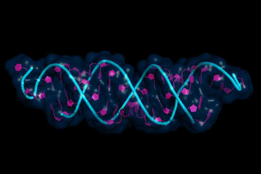 What Impact Does Epigenetics Have On Our Psychology?